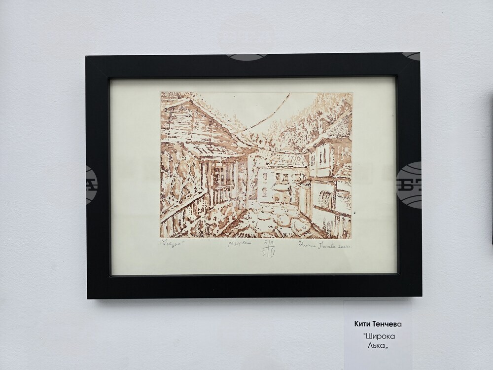 Пловдив - ДПХ - пролетна изложба