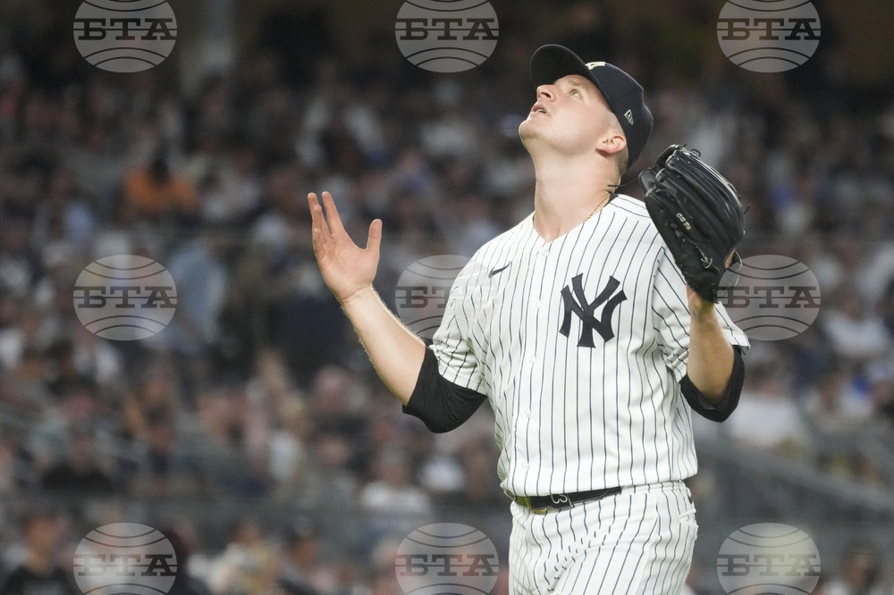 Yankees Schmidt Baseball