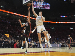 Grizzlies Heat Basketball