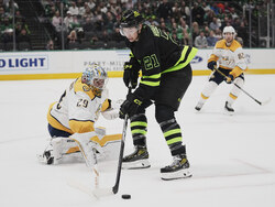 Predators Stars Hockey