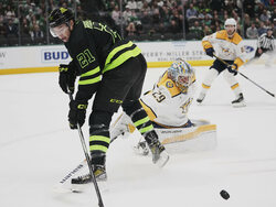 Predators Stars Hockey