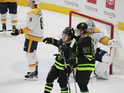 Predators Stars Hockey