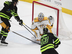 Predators Stars Hockey