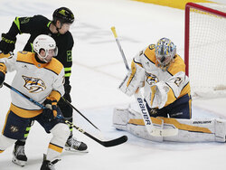 Predators Stars Hockey