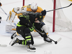 Predators Stars Hockey