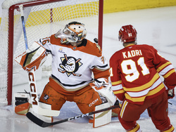 Ducks Flames Hockey