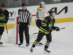 Predators Stars Hockey