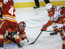 Ducks Flames Hockey