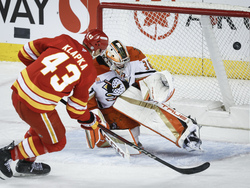 Ducks Flames Hockey