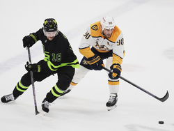 Predators Stars Hockey