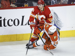 Ducks Flames Hockey