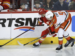 Ducks Flames Hockey