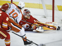 Ducks Flames Hockey