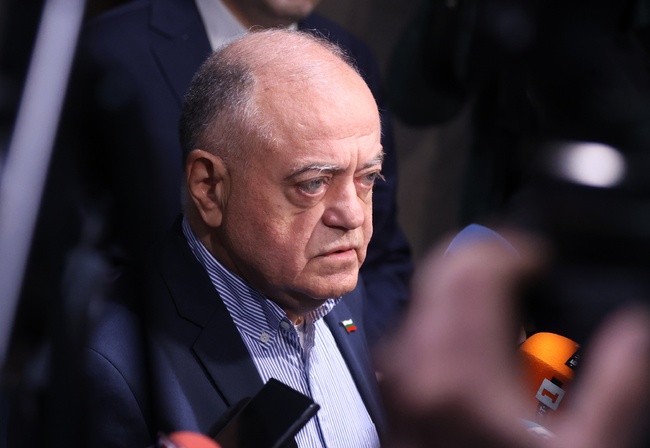 Democrats for Strong Bulgaria Propose Presidential Candidate to Be Chosen in Primary Elections 