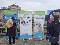 Изложба „Една подадена ръка"