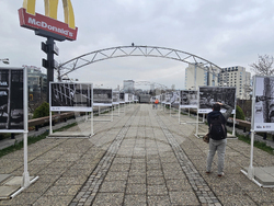 Изложба „Една подадена ръка"