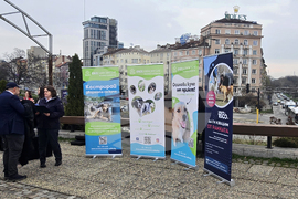 Изложба „Една подадена ръка"