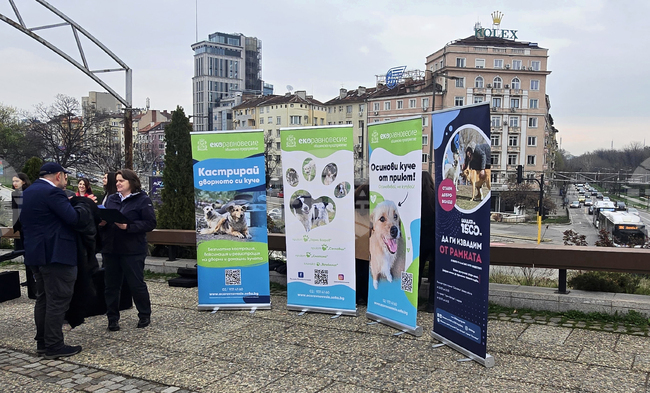 Изложба „Една подадена ръка"