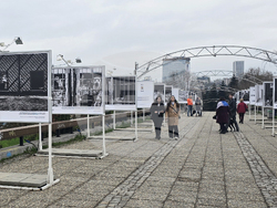 Изложба „Една подадена ръка"