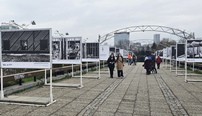 В София беше открита фотоизложба, свързана с осиновяването, хуманното отношение и отговорната грижа към кучетата 