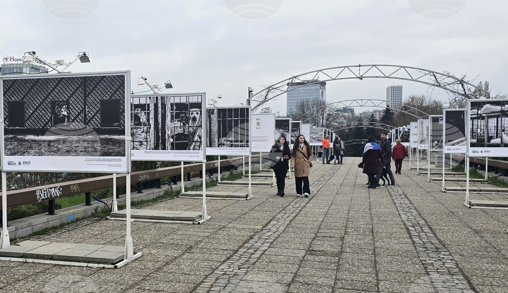 Изложба „Една подадена ръка"