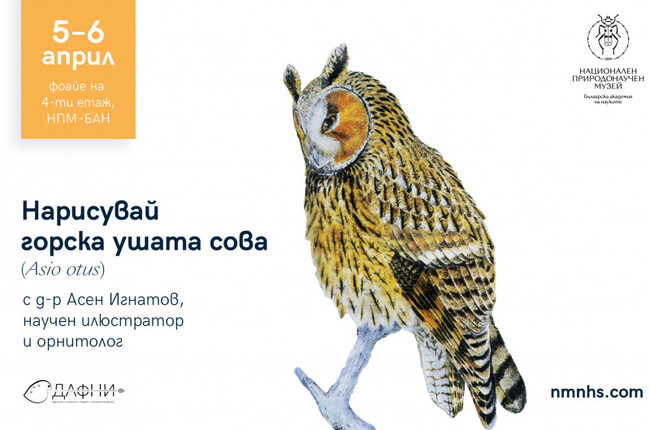 Националният природонаучен музей при БАН ще бъде домакин на работилница за научна илюстрация, посветена на горската ушата сова