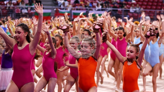 Техническият комитет по гимнастика за всички към Международната федерация по гимнастика проведе заседание в България