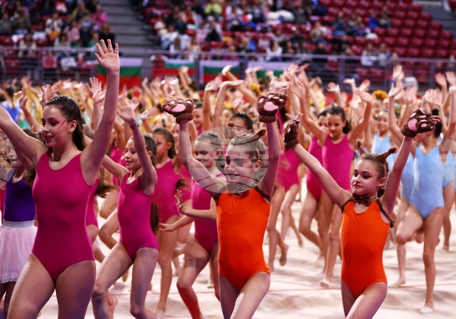 Техническият комитет по гимнастика за всички към Международната федерация по гимнастика проведе заседание в България