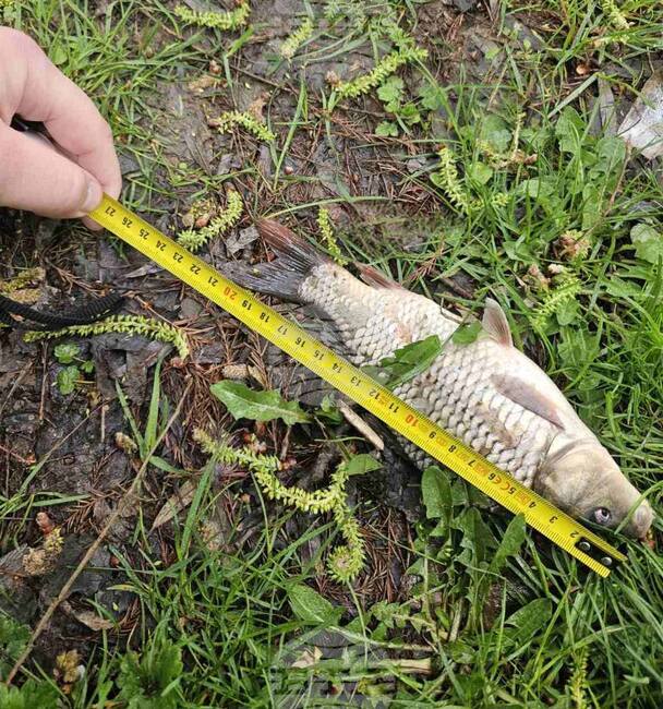 Инспектори на Изпълнителната агенция по рибарство установиха нарушители на язовира в Николово