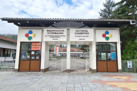 Село Орешак - Евгения Георгиева - изложба „Завръщане“