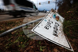 Булевард „Цариградско шосе“ - паднало дърво