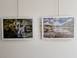 Самоков - Художествена галерия - Георги Големинов - изложба