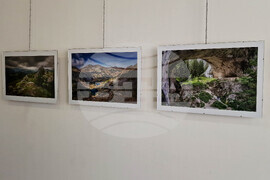 Самоков - Художествена галерия - Георги Големинов - изложба