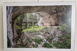 Самоков - Художествена галерия - Георги Големинов - изложба