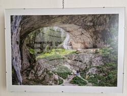 Самоков - Художествена галерия - Георги Големинов - изложба