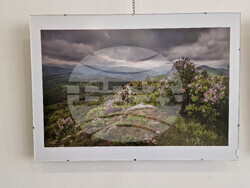 Самоков - Художествена галерия - Георги Големинов - изложба