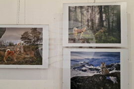 Самоков - Художествена галерия - Георги Големинов - изложба