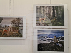 Самоков - Художествена галерия - Георги Големинов - изложба