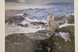 Самоков - Художествена галерия - Георги Големинов - изложба