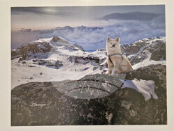 Самоков - Художествена галерия - Георги Големинов - изложба