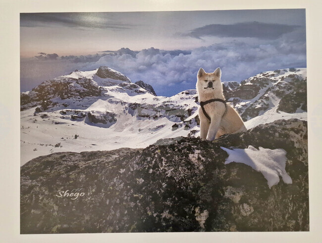 Самоков - Художествена галерия - Георги Големинов - изложба