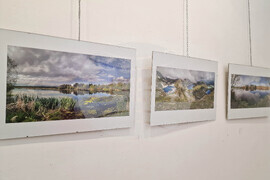 Самоков - Художествена галерия - Георги Големинов - изложба