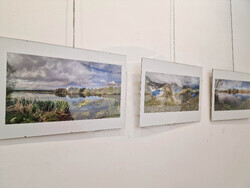 Самоков - Художествена галерия - Георги Големинов - изложба