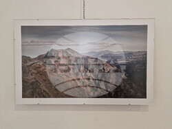 Самоков - Художествена галерия - Георги Големинов - изложба