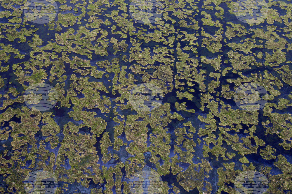 Louisiana Oil Companies Lawsuit