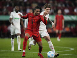 Germany Soccer Bundesliga