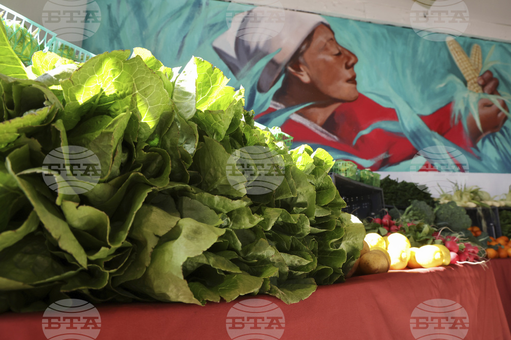 New Robert Vargas Murals Honor Fight Against Hunger