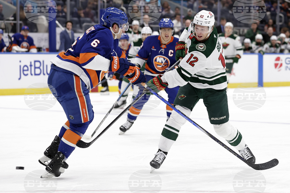 Wild Islanders Hockey