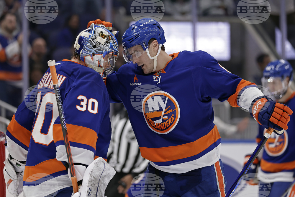 Wild Islanders Hockey