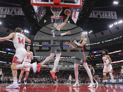 Trail Blazers Bulls Basketball